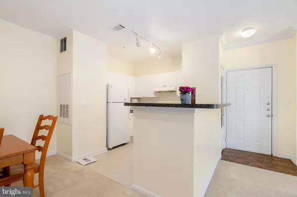 Fairfax, VA 22030,11399 ARISTOTLE DR #11-204