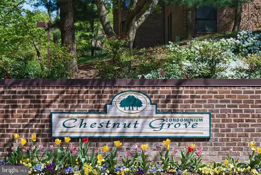 11260 CHESTNUT GROVE SQ #139, Reston, VA 20190