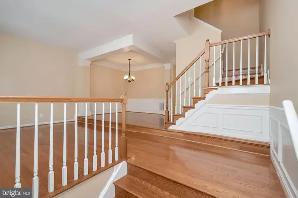 Alexandria, VA 22315,7703 WILEY CREEK WAY