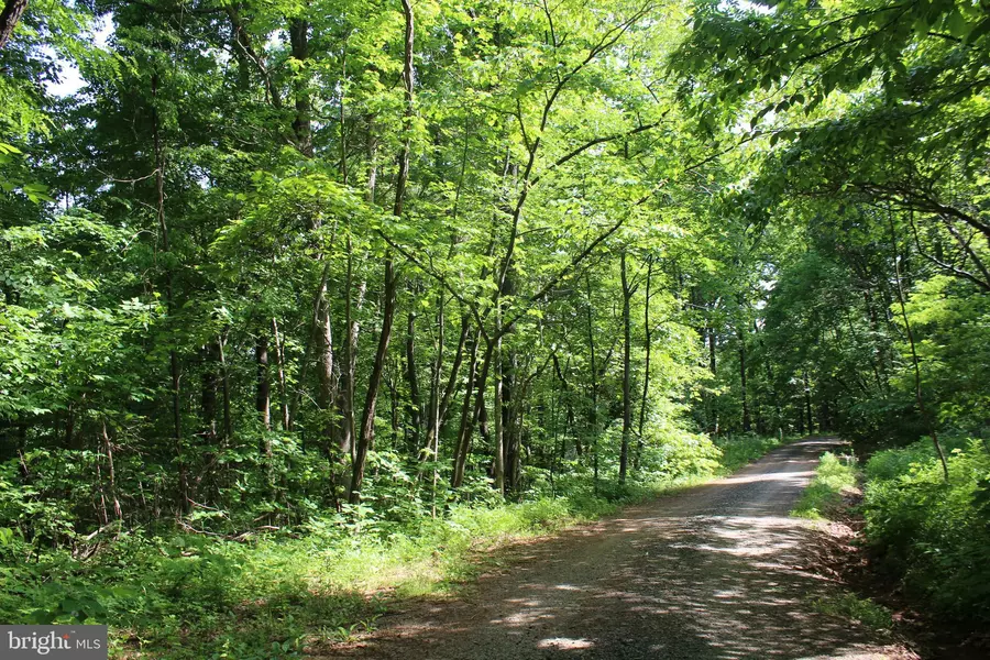 LOT 53 RED BIRD DR, Stanardsville, VA 22973