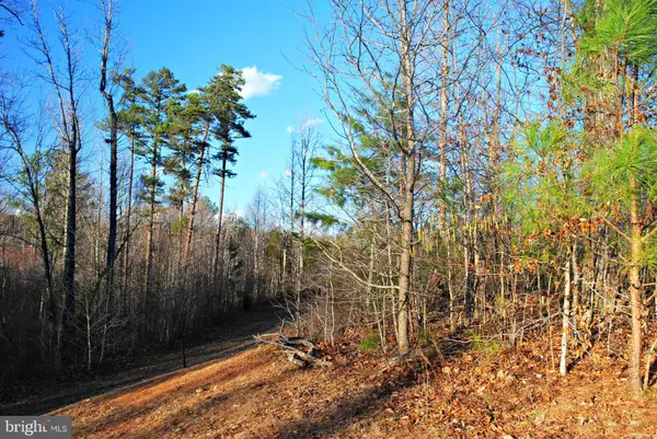 Gordonsville, VA 22942,LOT 16 FOREST CT