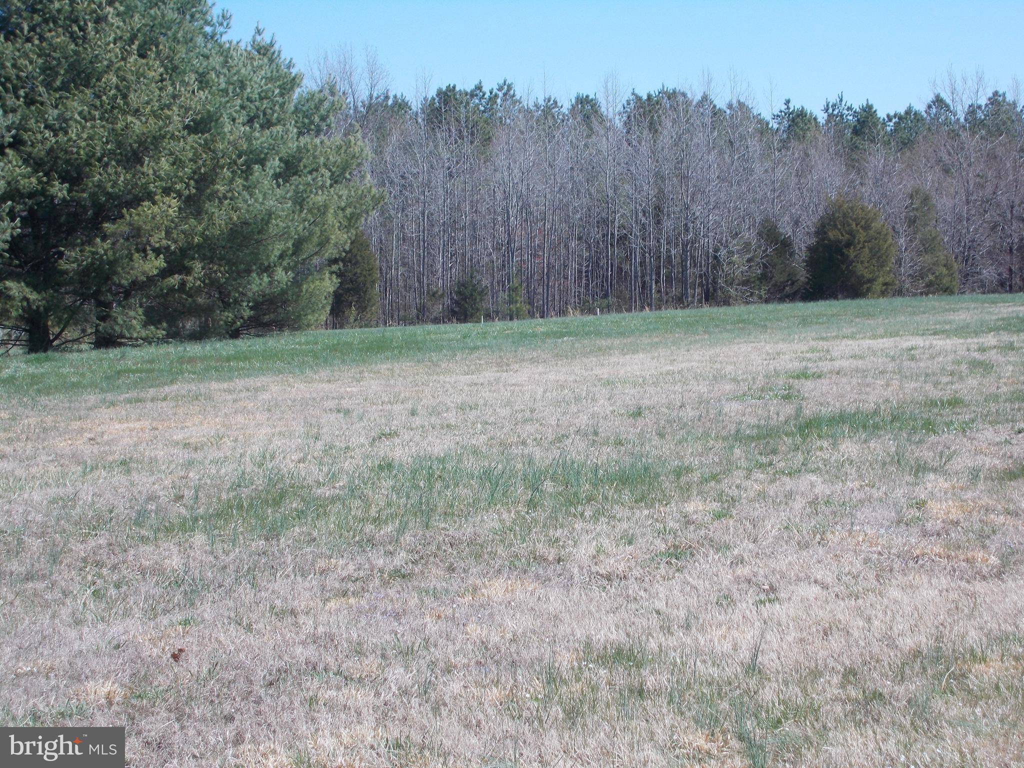 Louisa, VA 23093,336 S SPOTSWOOD TRL