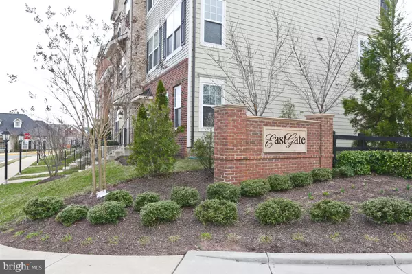 Chantilly, VA 20152,25499 CANCELLO TER