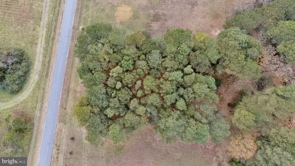 Reedville, VA 22539,PINE TREE RD