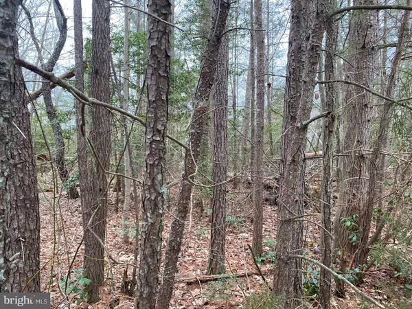 Heathsville, VA 22473,LOT # 107 CANVASBACK LN