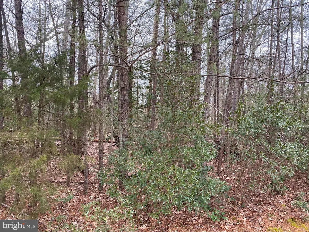 Heathsville, VA 22473,LOT # 107 CANVASBACK LN