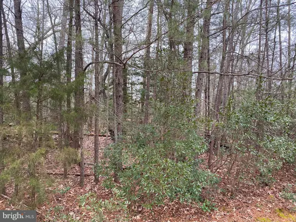 LOT # 107 CANVASBACK LN, Heathsville, VA 22473