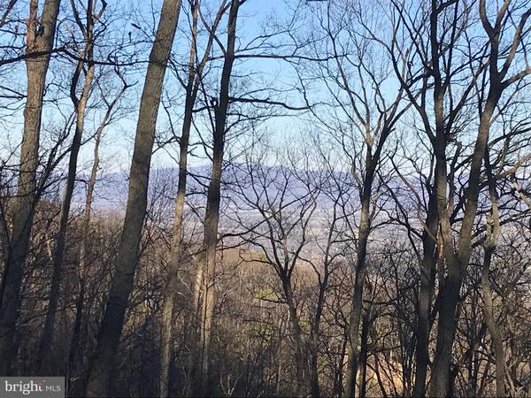 Luray, VA 22835,LOT F20 HIGH PINES RD