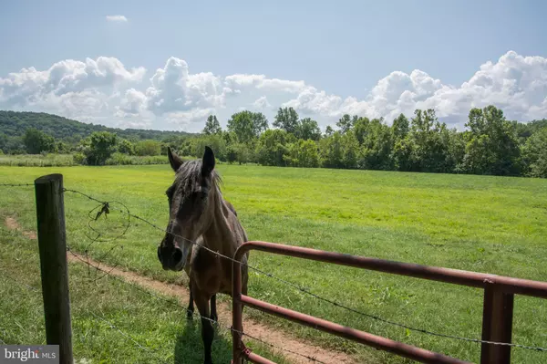 Luray, VA 22835,217 MIMOSA LN