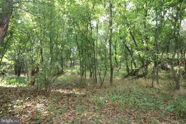 Luray, VA 22835,TBD-LOT 50K SHENANDOAH DR.