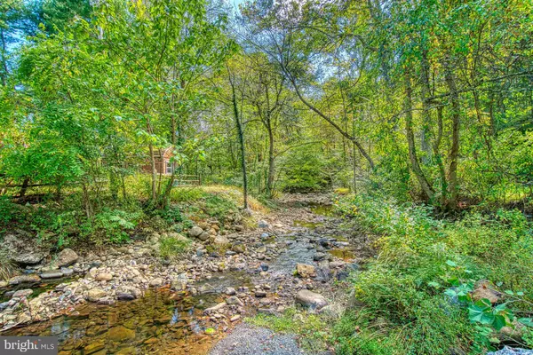 Sperryville, VA 22740,381 SWINDLER HOLLOW RD