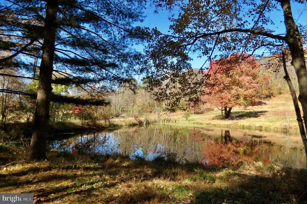 Washington, VA 22747,FODDERSTACK ROAD