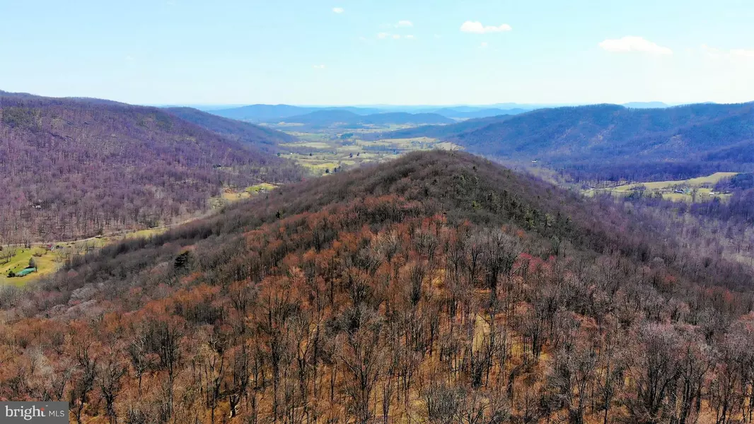 POINTER RIDGE RD, Washington, VA 22747