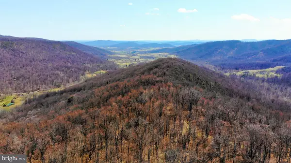 POINTER RIDGE RD, Washington, VA 22747