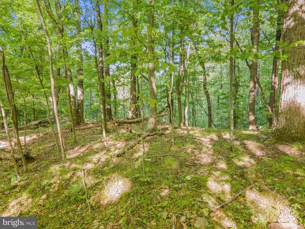 Washington, VA 22747,LOT 24 N COLONELS LANE