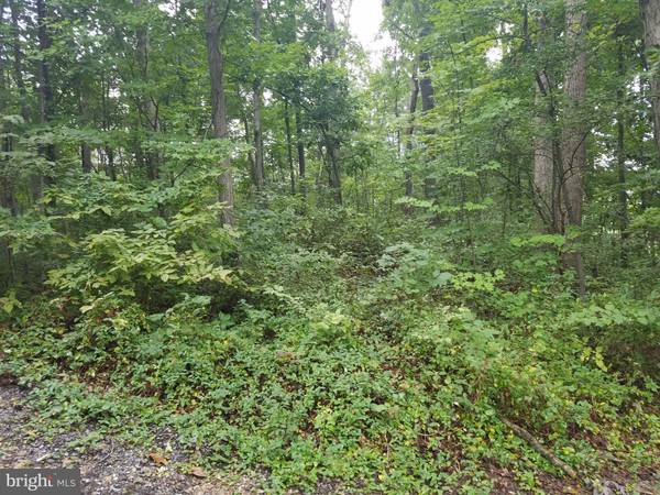 Maurertown, VA 22644,0 CHERRYWOOD LN