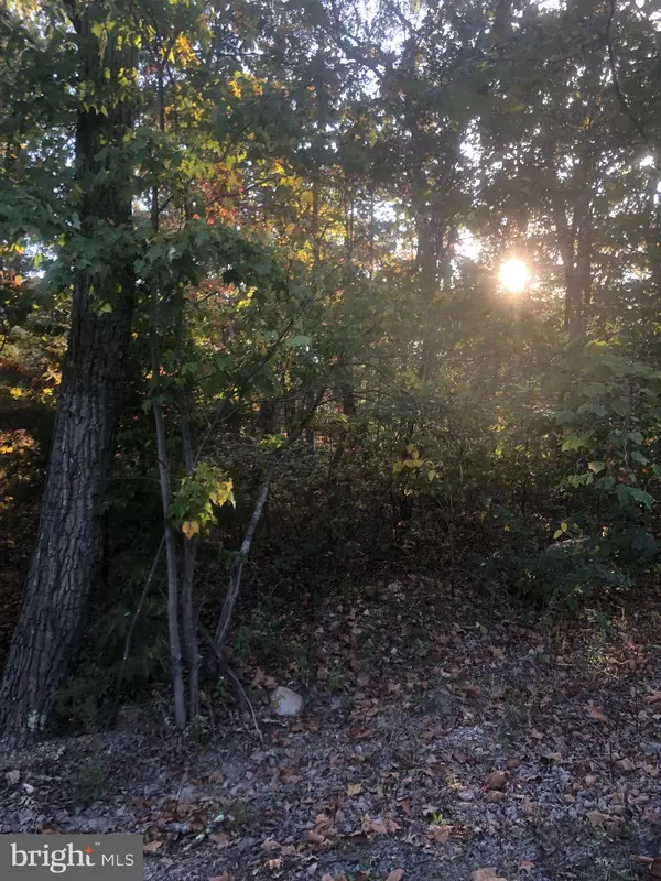 Fort Valley, VA 22652,LOT 2 SITE G ZION PASSAGE