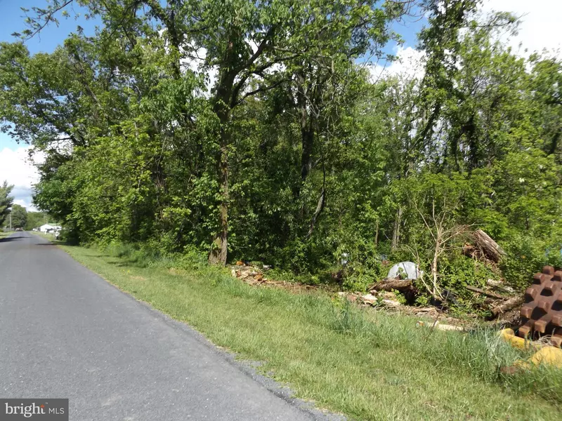 GRAVEL TOWN RD, Quicksburg, VA 22847