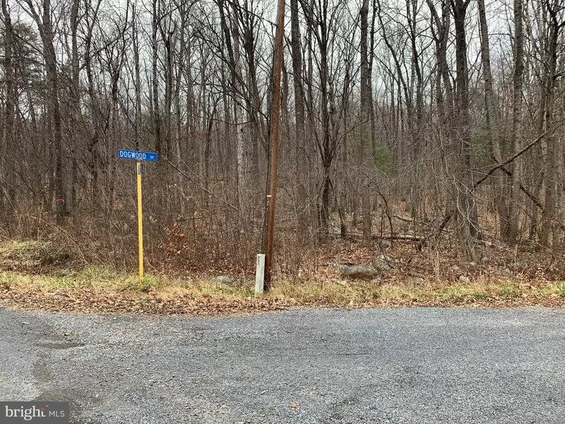 LOT 1 DOGWOOD, New Market, VA 22844