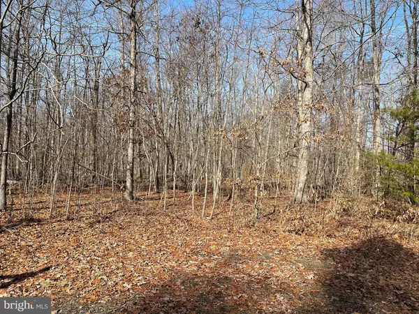 Spotsylvania, VA 22553,TANGLEWOOD RD