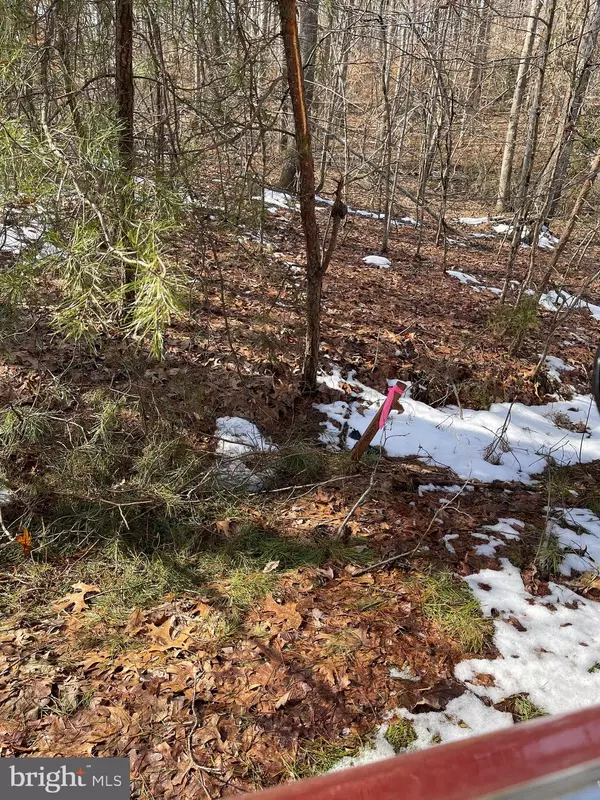 Spotsylvania, VA 22553,TANGLEWOOD RD