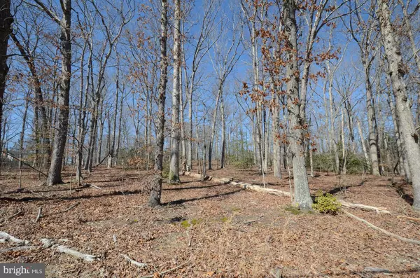 Fredericksburg, VA 22405,CRANES CORNER RD