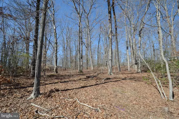 Fredericksburg, VA 22405,CRANES CORNER RD