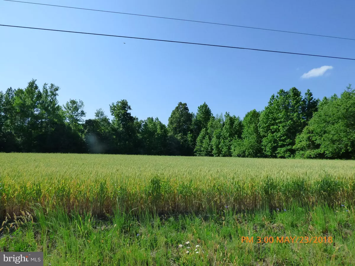 Kinsale, VA 22488,-LOT 15 KINSALE CREEK RD