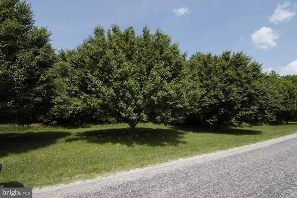 -LOT 30X BUSHFIELD RD, Montross, VA 22520