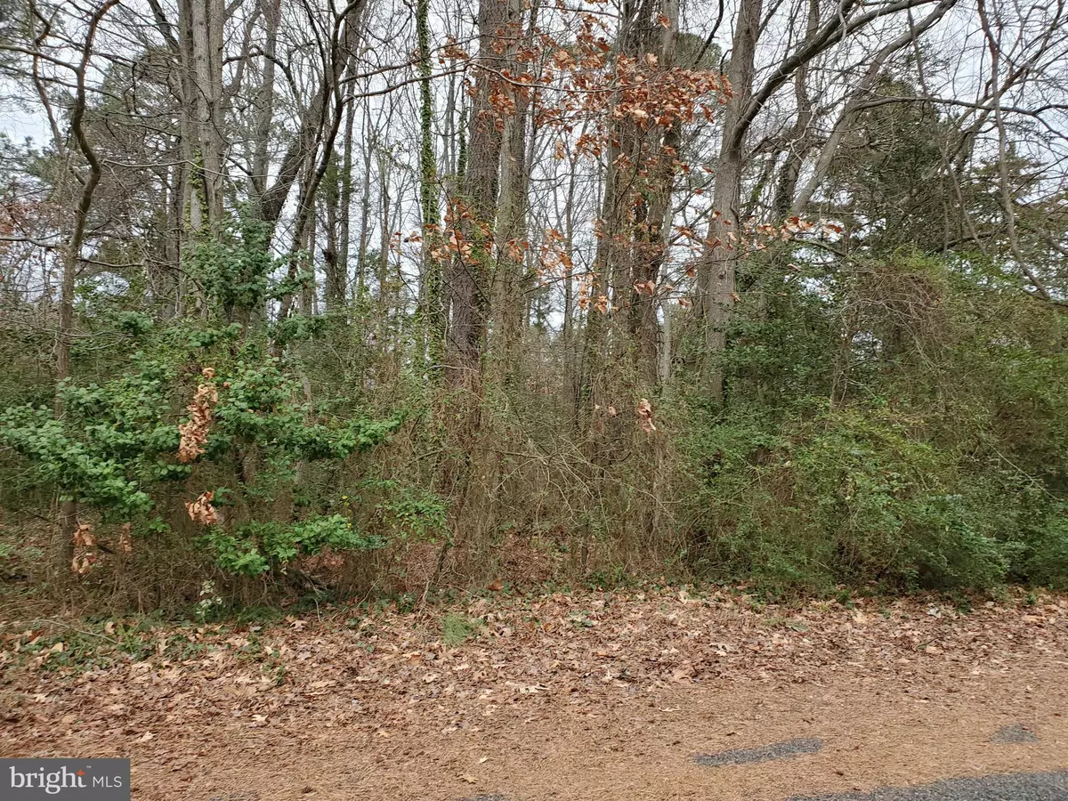 Colonial Beach, VA 22443,LOT 68 CEDAR LN