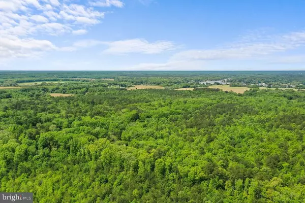 Hague, VA 22469,0000 COLES POINT RD
