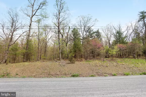 Gerrardstown, WV 25420,HALLOWS WAY #LOT 2