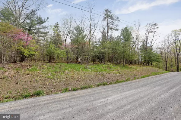 Gerrardstown, WV 25420,HALLOWS WAY #LOT 2