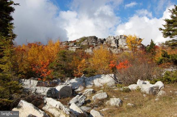 LOT 50 DOLLY SODS RETREAT, Mount Storm, WV 26739