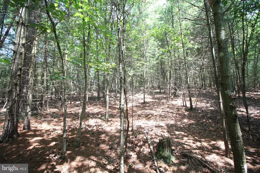 LOT 15 SLATE ROCK PASS ROAD, Wardensville, WV 26851