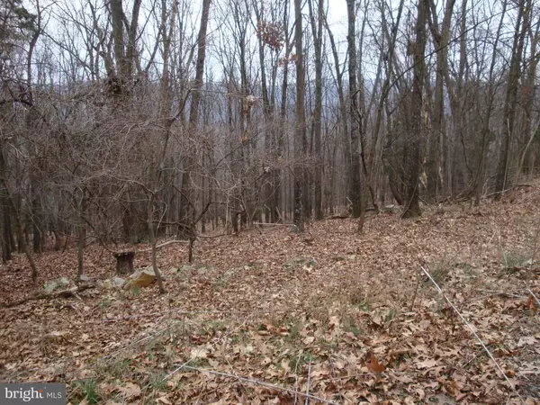 Wardensville, WV 26851,LOT 5 ANDERSON RIDGE ROAD