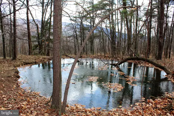 Moorefield, WV 26836,-LOT 194 LOCKINGER RDG