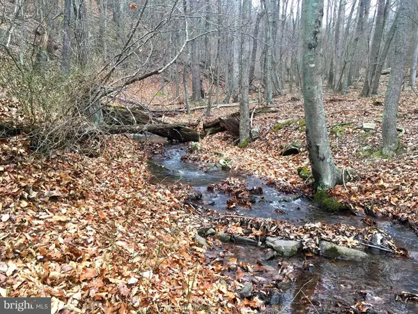 Moorefield, WV 26836,SOUTH BRANCH MOUNTAIN ROAD