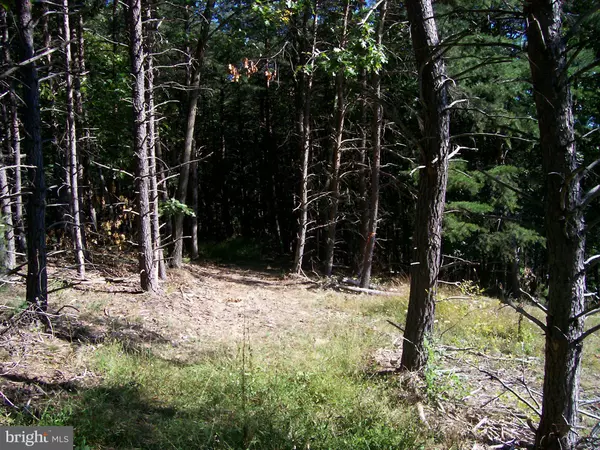 Moorefield, WV 26836,LOT 25 ASHTON WOODS SUBDIVISION