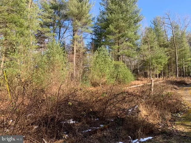 LOT 14 BROOKE TROUT DR, Wardensville, WV 26851