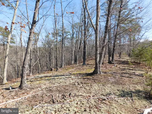 Romney, WV 26757,LOT 23 THISTLE RIDGE ROAD