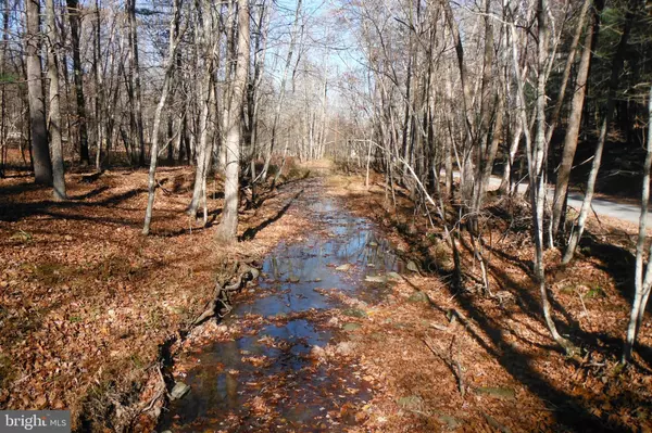 Romney, WV 26757,COUGAR HOLLOW RD