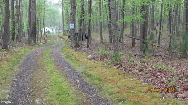 Bloomery, WV 26817,BROWN BEAR TRL