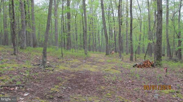 BROWN BEAR TRL, Bloomery, WV 26817