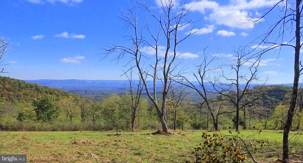 NW CAMERON ORCHARD, New Creek, WV 26743