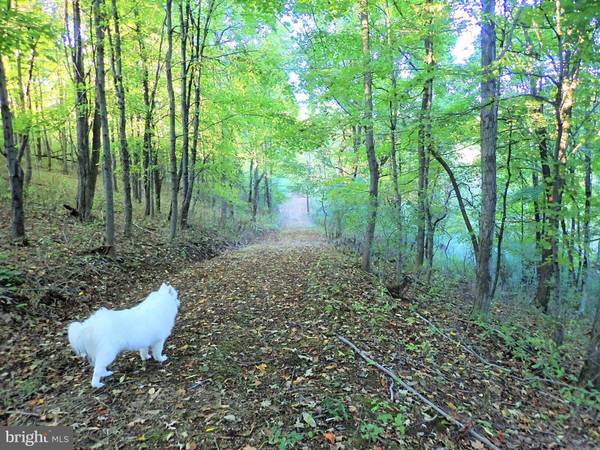 SE CAMERON ORCHARD, New Creek, WV 26743