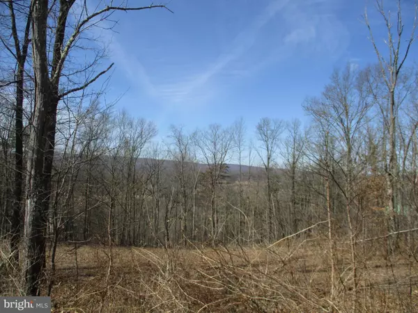 HIGHLAND RIDGE RD, Berkeley Springs, WV 25411