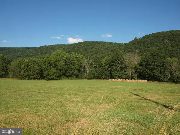 Franklin, WV 26807,LOT 16 GREEN ACRES ESTATES - OFF RT 220