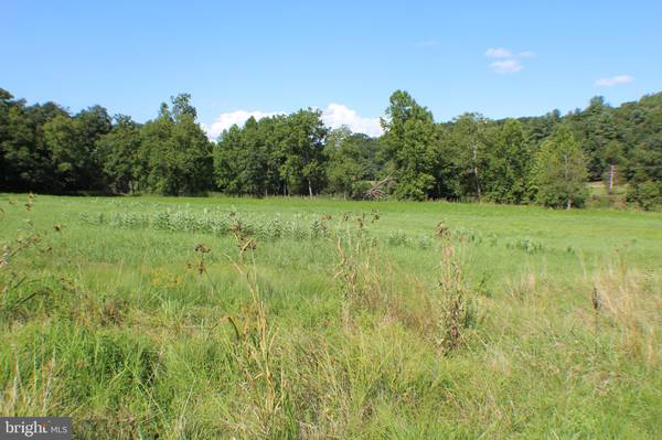 6.33AC N MILL CREEK, Upper Tract, WV 26866