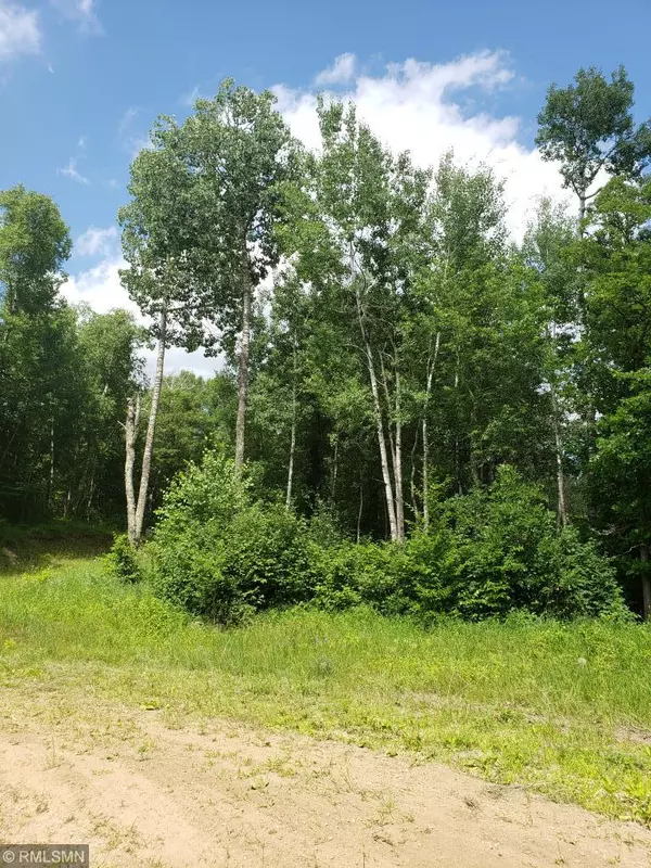 Park Rapids, MN 56470,xxx Fools Lake Drive